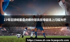 离左脚舒