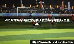大挑战对