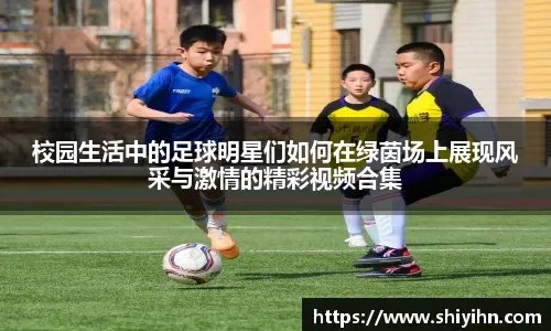 律更强的